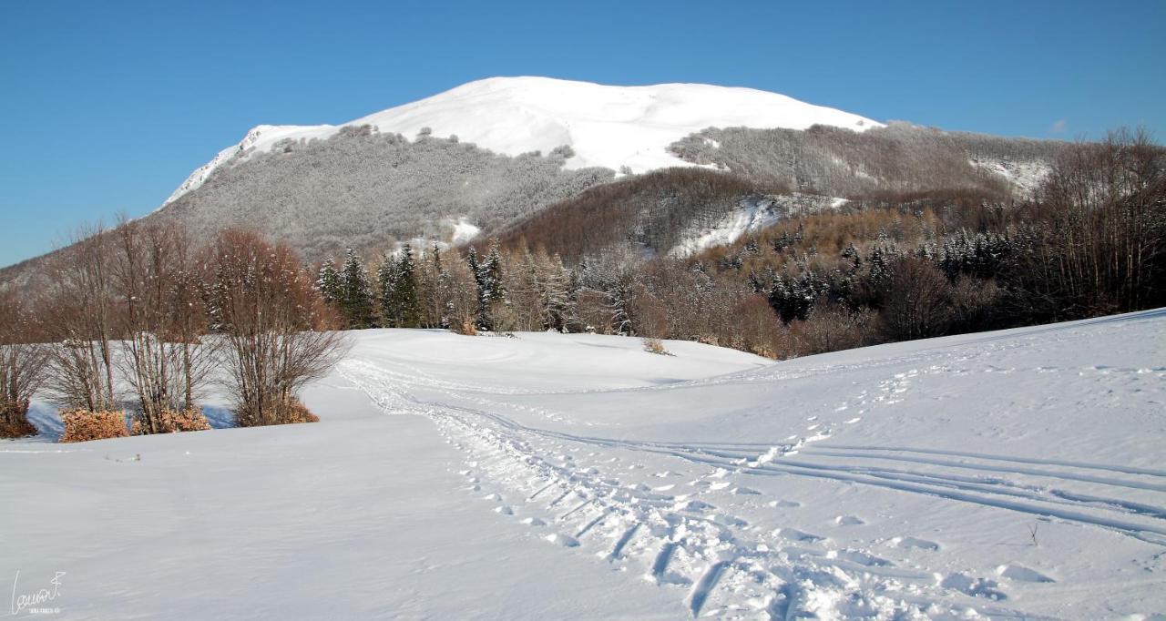 Antica Locanda Bonfiglio Busana Esterno foto