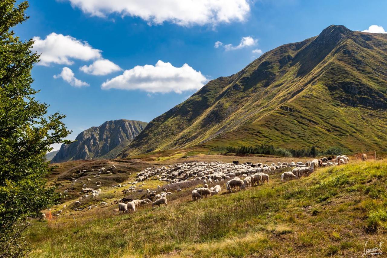 Antica Locanda Bonfiglio Busana Esterno foto